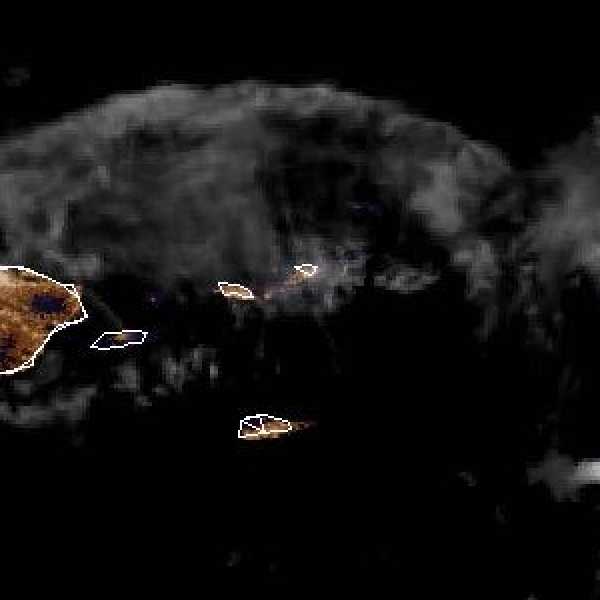 météo tropicale : Image satellite .