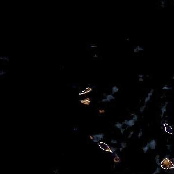 météo tropicale : Image satellite .