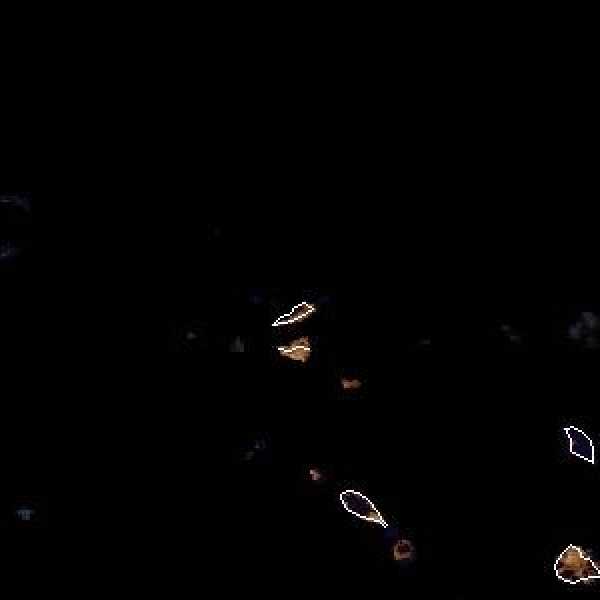 météo tropicale : Image satellite .