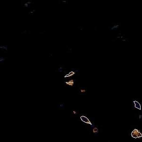 météo tropicale : Image satellite .