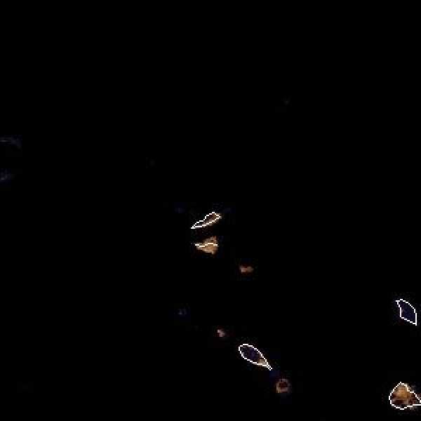 tropical weather: Satellite image.