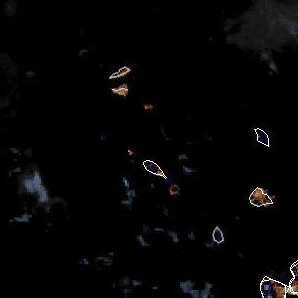 météo tropicale : Image satellite .