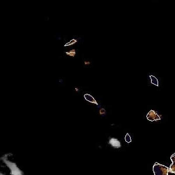 tropical weather: Satellite image.
