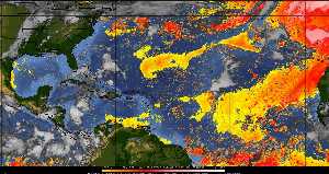 Météo tropicale : Air sec et densité de poussière dans l'air.