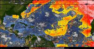 Météo tropicale : Air sec et densité de poussière dans l'air.