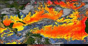 Météo tropicale : Air sec et densité de poussière dans l'air.