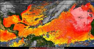 Météo tropicale : Air sec et densité de poussière dans l'air.