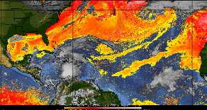 Météo tropicale : Air sec et densité de poussière dans l'air.